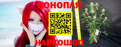 индика Абинск