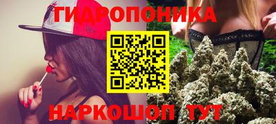 индика Абинск