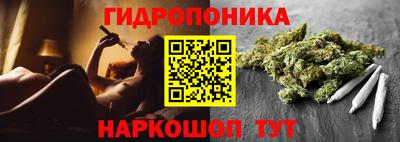 индика Абинск