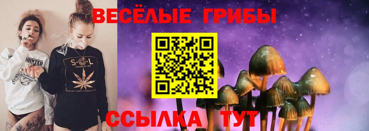 Галлюциногенные грибы ЛСД  Вход с VPN  Ангарск 
